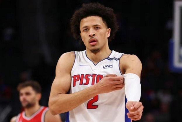 己的实力 己的实力