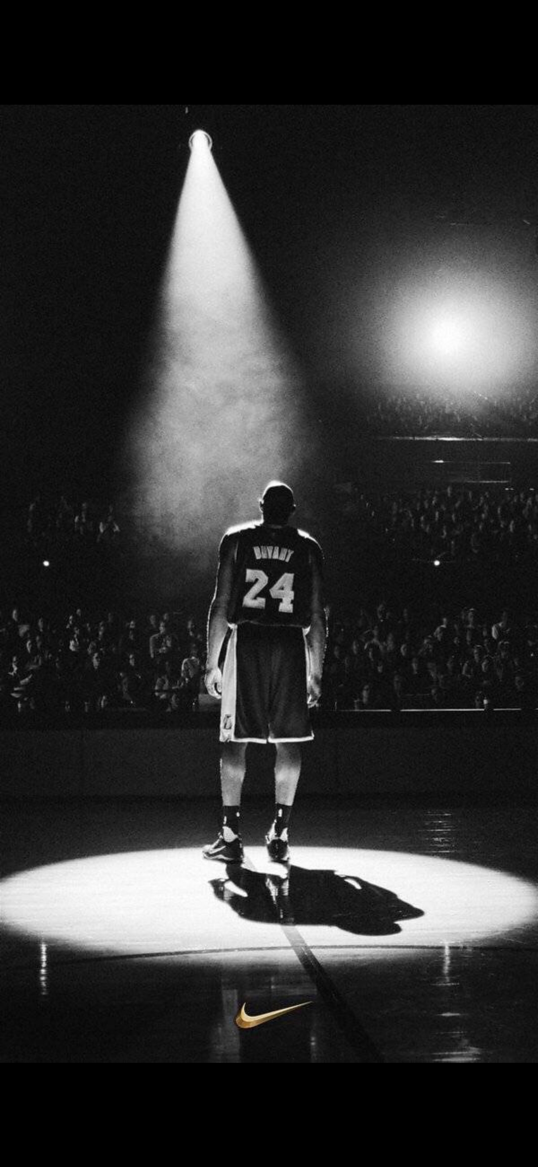 篮板与回合 篮板与回合